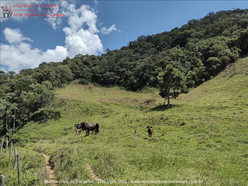Sítio a Venda no Outros em Bocaina de Minas
